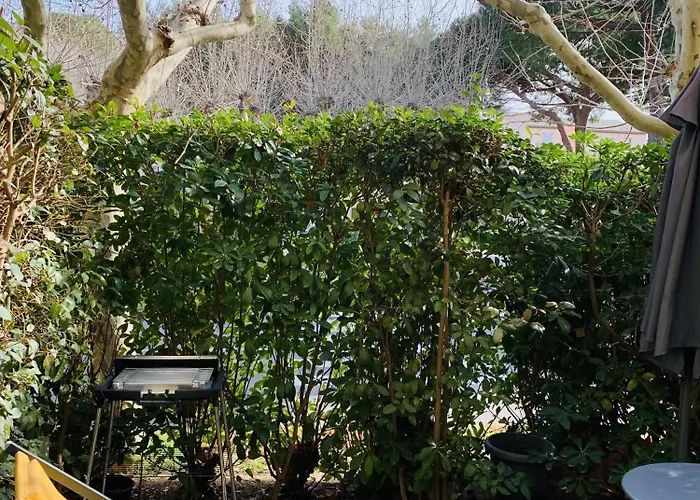 Appartement Un Jardin D'azur Avec Piscine De Mai à Septembre Six-Fours-les-Plages